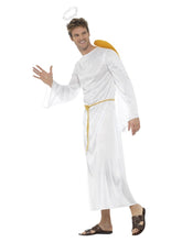 Load image into Gallery viewer, Angel Gabriel Costume Alternative View 1.jpg