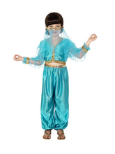 Load image into Gallery viewer, Arabian Princess Costume Alternative View 1.jpg
