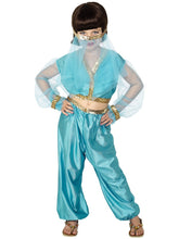 Load image into Gallery viewer, Arabian Princess Costume
