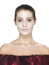 Load image into Gallery viewer, Day of the Dead Face Tattoo Transfers Kit, Red & Black Alternative View 1.jpg