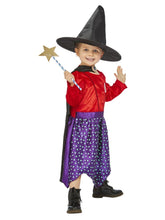Load image into Gallery viewer, Julia Donaldson Room On The Broom Costume
