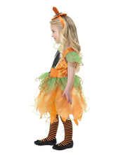 Load image into Gallery viewer, Pumpkin Fairy Costume Alternative View 1.jpg
