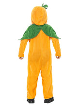 Load image into Gallery viewer, Pumpkin Toddler Costume Alternative View 4.jpg