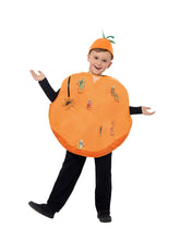 Load image into Gallery viewer, Roald Dahl James &amp; The Giant Peach Costume Alternative View 2.jpg
