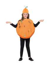 Load image into Gallery viewer, Roald Dahl James &amp; The Giant Peach Costume
