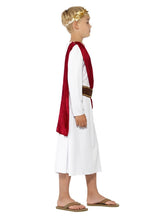 Load image into Gallery viewer, Roman Costume Alternative View 1.jpg
