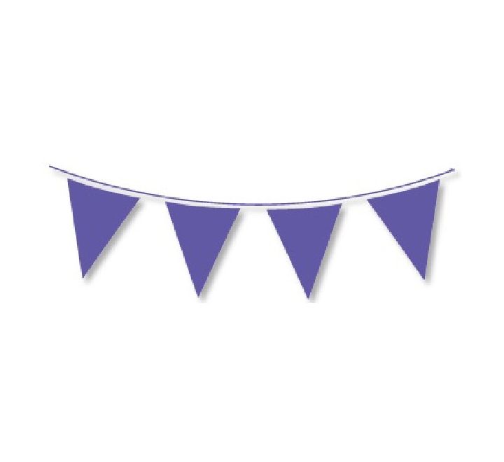 Purple Coloured Bunting 10m