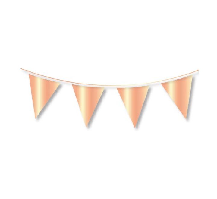 Rose Gold Coloured Bunting 10m