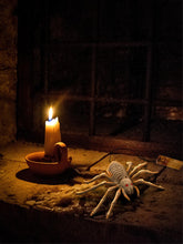 Load image into Gallery viewer, Light Up Spider Prop
