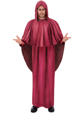 Load image into Gallery viewer, Occult Costume
