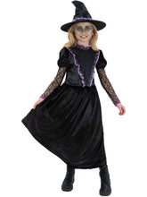 Load image into Gallery viewer, Witch from the West Costume
