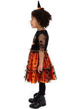 Load image into Gallery viewer, Pumpkin Costume
