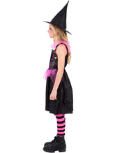 Load image into Gallery viewer, Rainbow Web Witch
