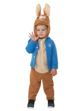 Load image into Gallery viewer, Peter Rabbit Deluxe Costume Al1
