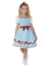 Load image into Gallery viewer, Kansas Girl Costume
