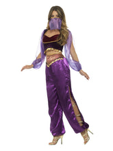 Load image into Gallery viewer, Arabian Princess Costume, Purple Alternative View 1.jpg
