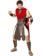 Load image into Gallery viewer, Centurion Costume
