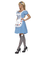 Load image into Gallery viewer, Deck of Cards Girl Costume Alternative View 1.jpg
