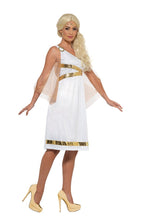 Load image into Gallery viewer, Grecian Costume Alternative View 1.jpg
