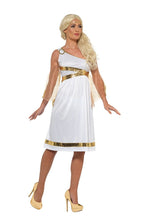 Load image into Gallery viewer, Grecian Costume Alternative View 3.jpg

