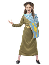 Load image into Gallery viewer, Horrible Histories Boudica Costume
