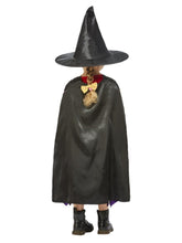 Load image into Gallery viewer, Julia Donaldson Room On The Broom Costume Back
