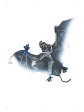 Load image into Gallery viewer, Large Vampire Bat Alternative View 1.jpg
