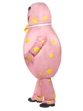 Load image into Gallery viewer, Mr Blobby Costume Alternative View 1.jpg
