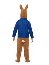 Load image into Gallery viewer, Peter Rabbit Costume Alternative View 2.jpg
