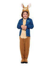 Load image into Gallery viewer, Peter Rabbit Costume
