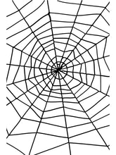 Load image into Gallery viewer, Spider &amp; Spiders Web
