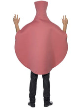 Load image into Gallery viewer, Whoopie Cushion Costume Alternative View 2.jpg
