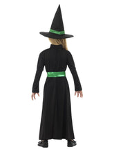 Load image into Gallery viewer, Wicked Witch Costume Alternative View 2.jpg
