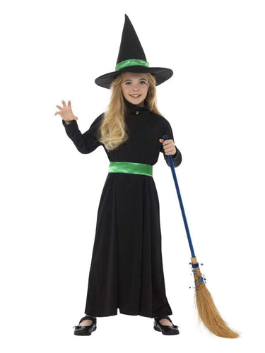 Wicked Witch Costume